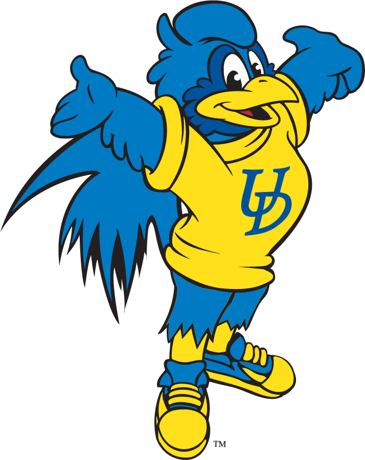 Delaware Blue Hens 1999-2009 Mascot Logo v12 DIY iron on transfer (heat transfer)